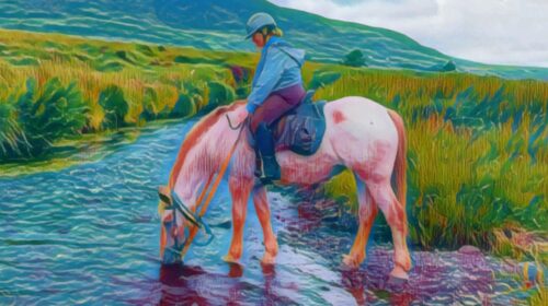 Cool Fresh Water on the Ring of Kerry Irelan 2024